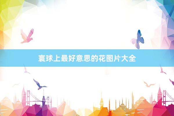 寰球上最好意思的花图片大全