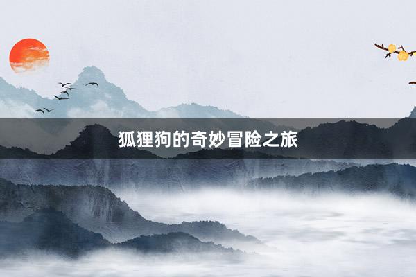 狐狸狗的奇妙冒险之旅
