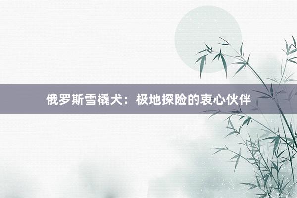 俄罗斯雪橇犬：极地探险的衷心伙伴