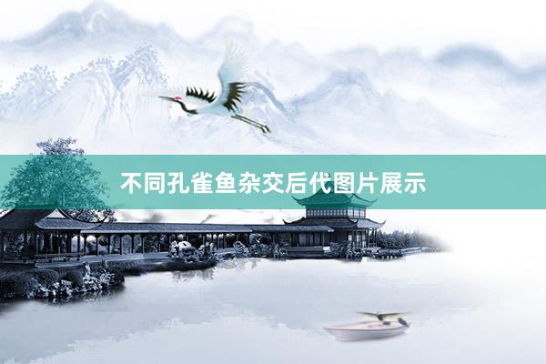 不同孔雀鱼杂交后代图片展示